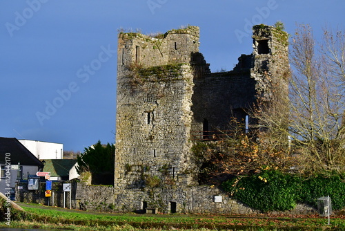 Leighlinbridge Castle, also called Black Castle, Leighlinbridge, County Carlow, Ireland photo