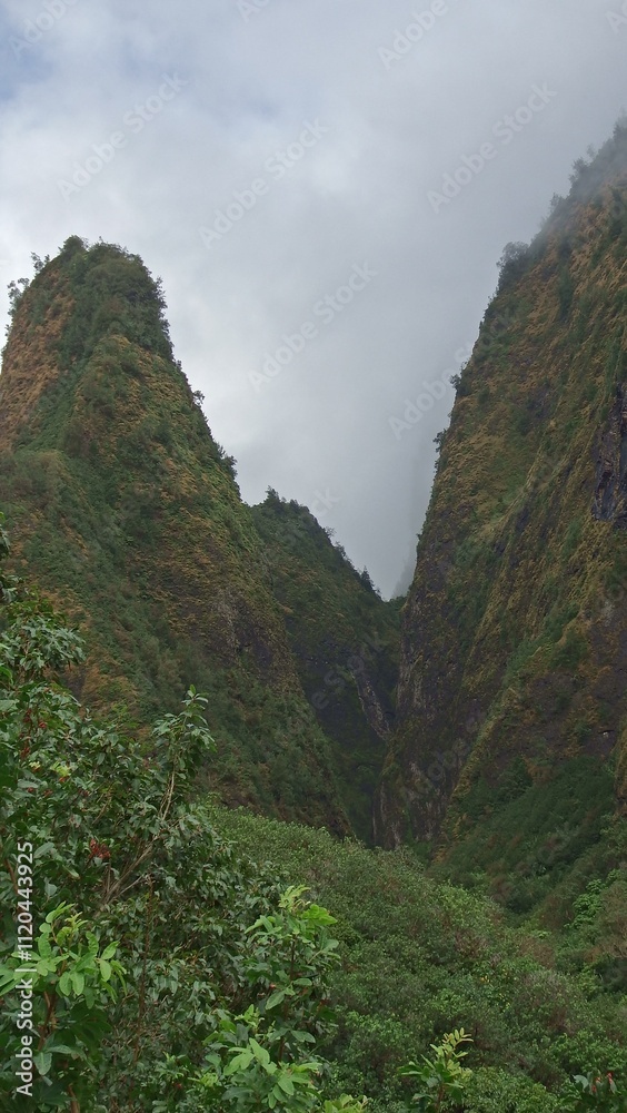 Fototapeta premium Bridge in the Water