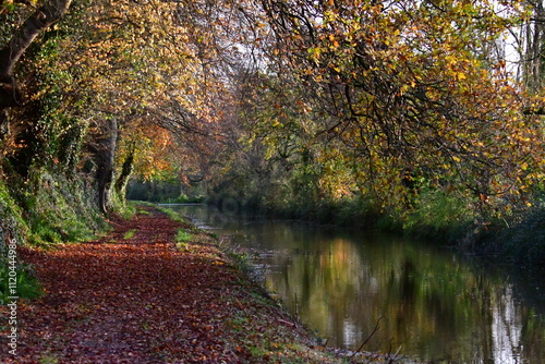 Autumn in River Barrow, Bagenalstown (Muine Bheag), County Carlow, Ireland
