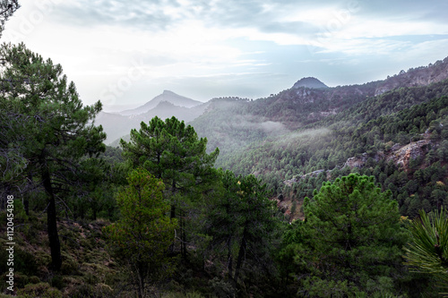 Sierra de Segura photo