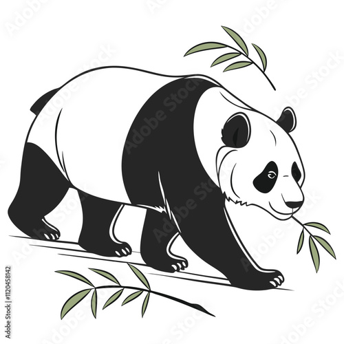 Panda vector silhouette,isolated white background