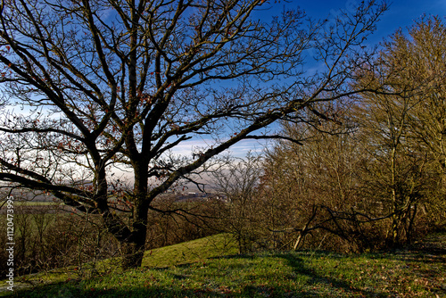 cold winter sunny morning in Bovaria