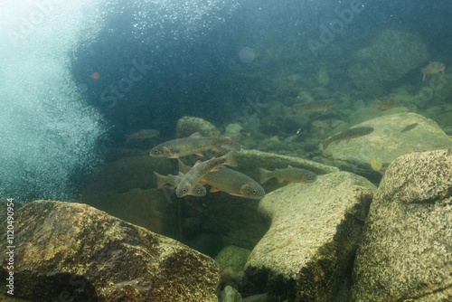 Under Water