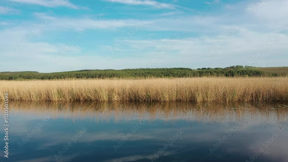 Aerial top view above transparent river water blue sky yellow plants reeds in Ukraine. 4k Ukrainian nature peaceful landscape. Summer day sun blue yellow colors of flag of Ukraine. Horizon drone view Aerial top view above transparent river water blue sky yellow plants reeds in Ukraine. 4k Ukrainian nature peaceful landscape. Summer day sun blue yellow colors of flag of Ukraine. Horizon drone view