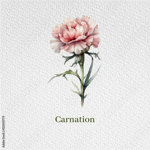 watercolor flower, decoration, decor, flower of the month of birth, set of flowers, flower of the month of the year