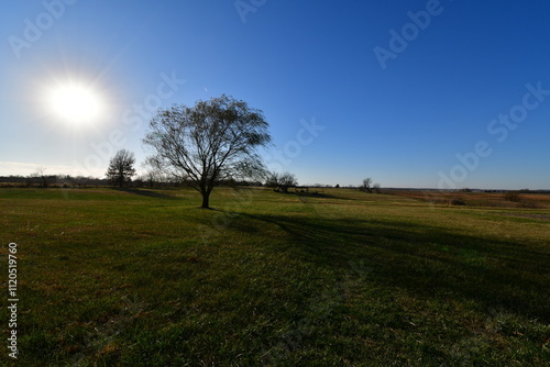 Fall Field photo