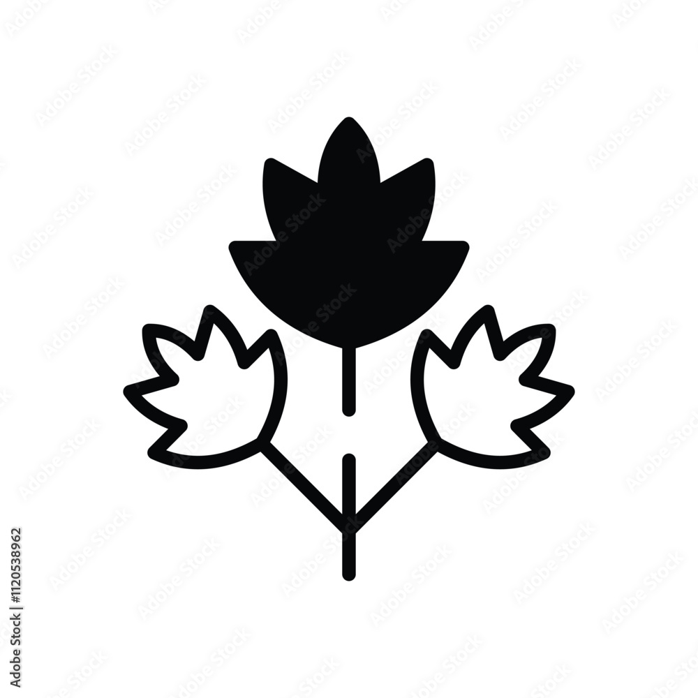 Obraz premium Parsley vector icon