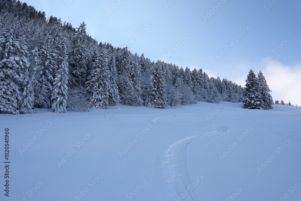 A winter landscape near Montreux, Switzerland A winter landscape near Montreux, Switzerland