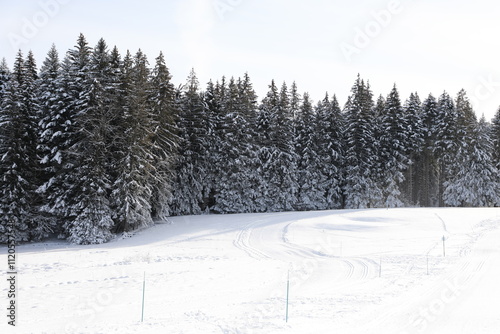 Snow landscape located in Pléiades, near Vevey, Switzerland photo