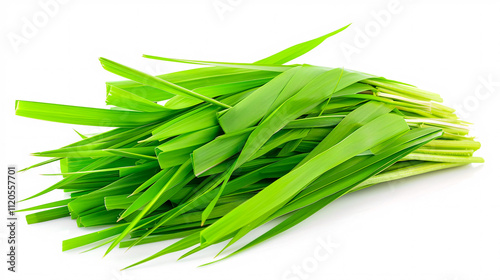 Fresh Spring Green West Indian Lemon Grass: Isolated on white background.