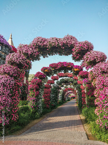 Petunia Blooming Decorative Arch In Dubai Miracle Garden, United Arab Emirates
