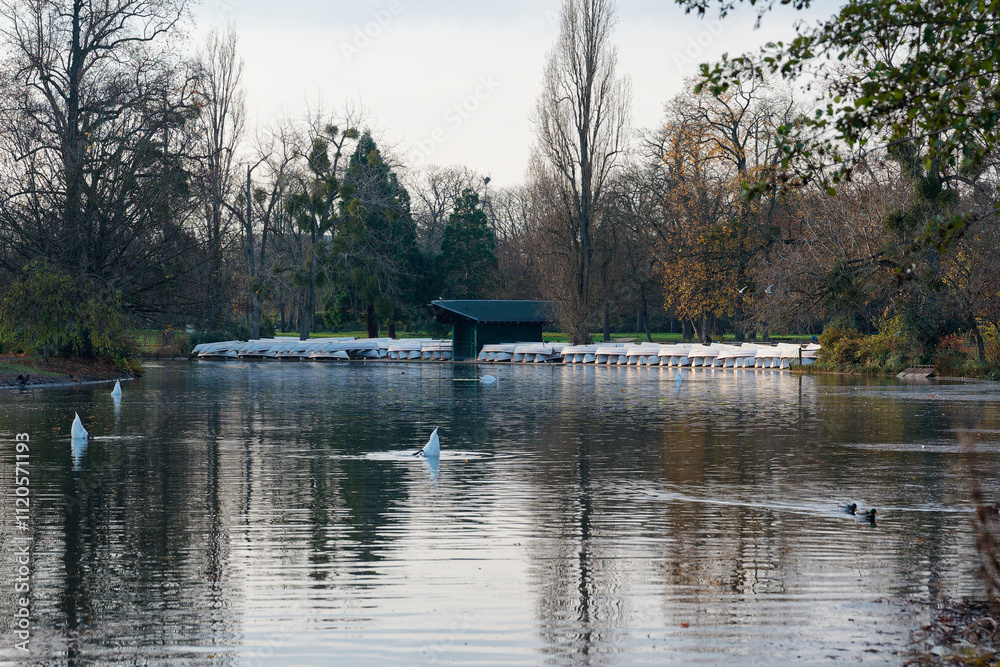 Naklejka premium Bois de Vincennes offers a tranquil view of the water with swans and lush greenery during a calm afternoon in Paris