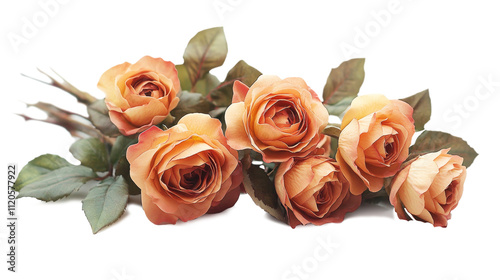 Fototapeta Naklejka Na Ścianę i Meble -  A charming arrangement of six orange roses with lush green leaves is displayed.