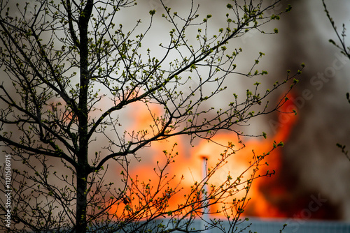 Tree branches in foreground, fire in background.  Springtime scene with blaze. photo