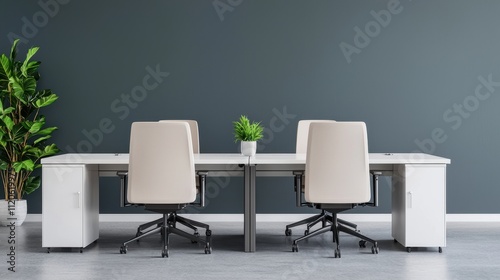 Modern Office Workspace with Clean Design and Indoor Plant