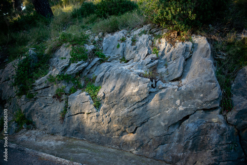 mountains stone texture