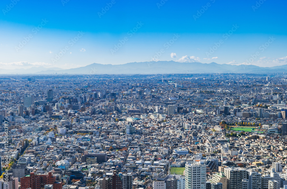 富士山と東京都市風景 都庁から眺望