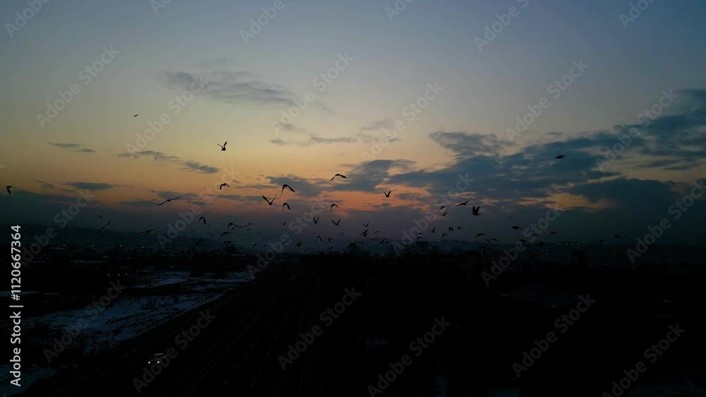 At sunset, a drone flying with crows over the road At sunset, a drone flying with crows over the road