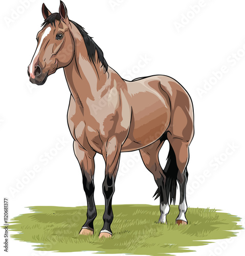 Adobe Illustrator Artwork