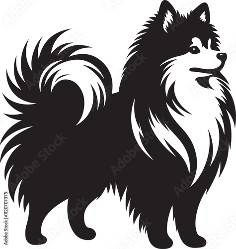 American Eskimo dog silhouette vector illustration, Vector silhouette of a American Eskimo dog