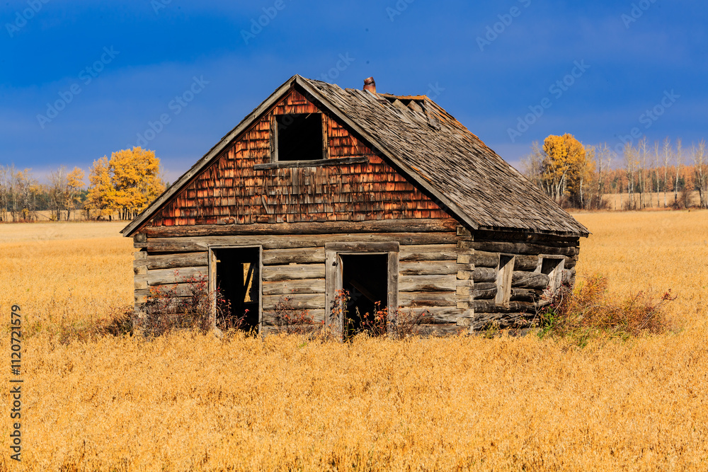 A small, old log cabin sits in a field of yellow grass A small, old log cabin sits in a field of yellow grass