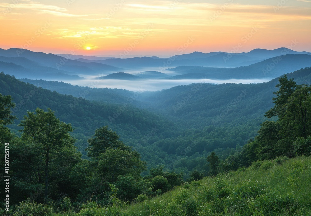 Majestic Sunrise Over Serene Mountain Valley with Lush Green Forests and Soft Mist, Capturing the Beauty of Nature in Early Morning Light Majestic Sunrise Over Serene Mountain Valley with Lush Green Forests and Soft Mist, Capturing the Beauty of Nature in Early Morning Light