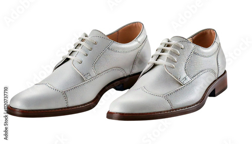 Classic pair of Men's shoes displayed on a white background