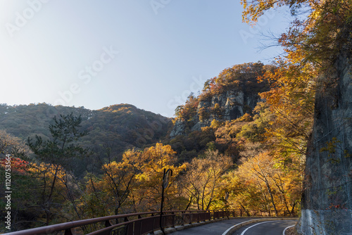 日本　群馬県の吾妻峡にある岩山の「大蓬莱」が紅葉に覆われた風景／11月 photo