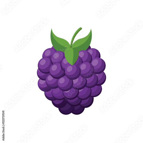  Boysenberry fruit isolated flat vector illustration on white background