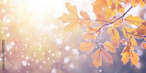 autumn leaves with raindrops, bright bokeh light background
