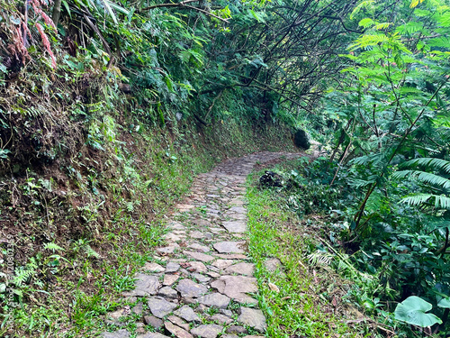 Winding path on the edge of a cliff, a hiking trail in the forest with stacked rocks on the path photo