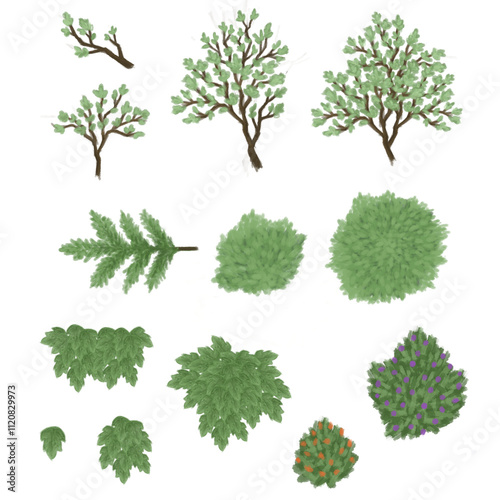 Illustration set of branches, creeping plants and
bushes.