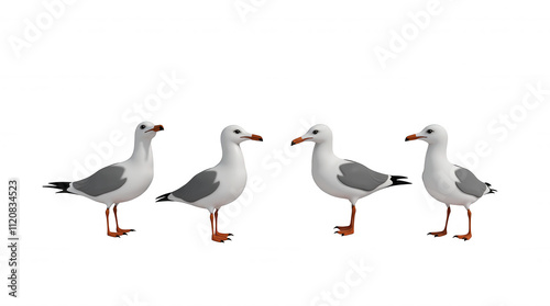 Four Seagull Illustrations on Transparent Background for Design Elements and Overlays photo