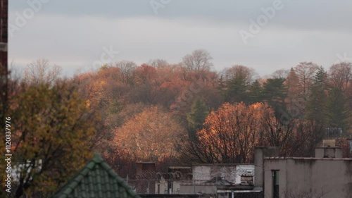 Autumn view over the cityscape
