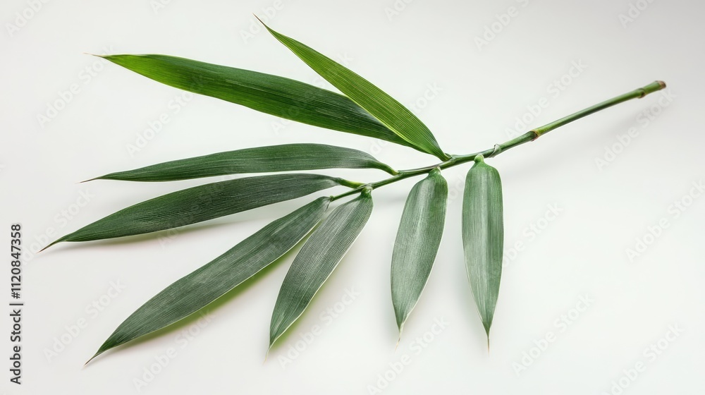 Fototapeta premium Lush green bamboo leaves arranged elegantly on a neutral background showcasing nature's beauty and tranquility