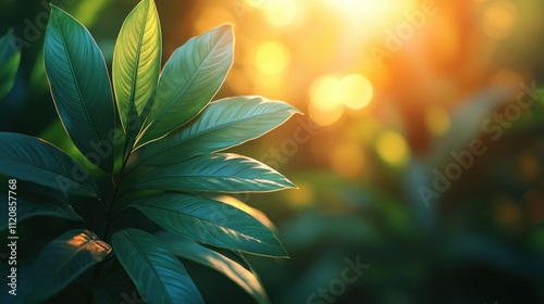 Tropical Leaves in Bright Colors with Warm Gradient Background and Soft Bokeh Effects photo