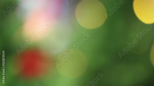 Charming twinkling light background on Christmas Eve. photo