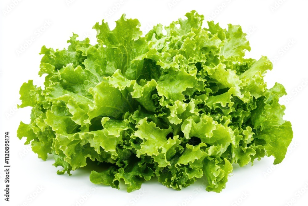 A large, crisp head of fresh green lettuce isolated on a white background A large, crisp head of fresh green lettuce isolated on a white background