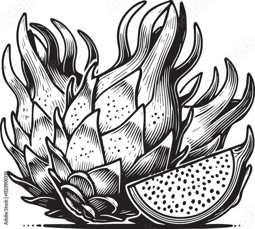 Dragon fruit vector on white background