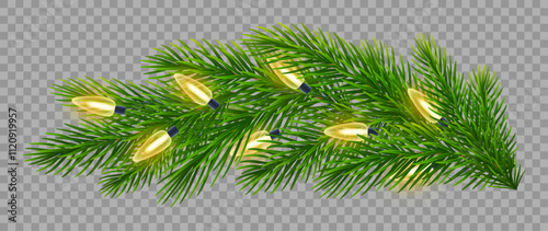 Twinkling Christmas lights on vibrant fir branches on transparent background. Vector illustration for holiday Christmas designs, greeting cards, banners, posters.