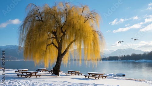 Majestic Weeping Willow Tree in Snowy Lakeside Setting with Picnic Tables, Mountains, and Blue Sky