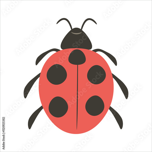 simple illustration of a ladybug