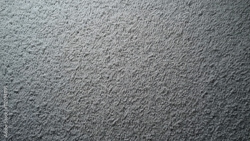 Hyperrealistic Detailed Gray Carpet Texture, Soft, Plush Shag for Backgrounds and Designs