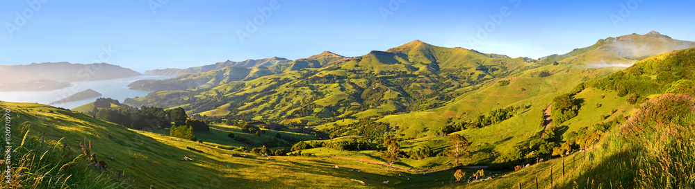Obraz premium Panorama of Akaroa Harbour, New Zealand at Dawn.