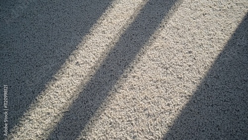 Wallpaper Mural Gray Carpet Texture, Flat Lay Stock Photo with Feminine Sunny Light Torontodigital.ca
