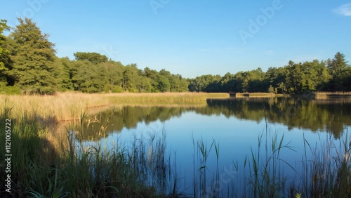 Serene Lake, Tall Grasses, and Trees, Idyllic Fishing and Picnic Spot in Nature