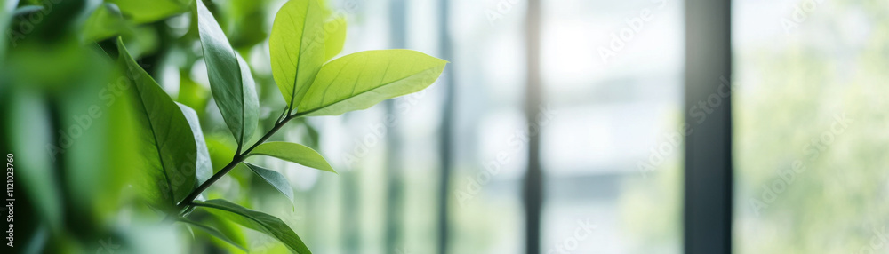 Fototapeta premium Lush green leaves create serene atmosphere in bright indoor space, enhancing natural beauty and tranquility of environment