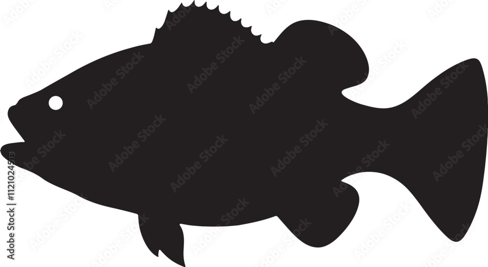 silhouette fish seabass on white background, vector illustration silhouette fish seabass on white background, vector illustration