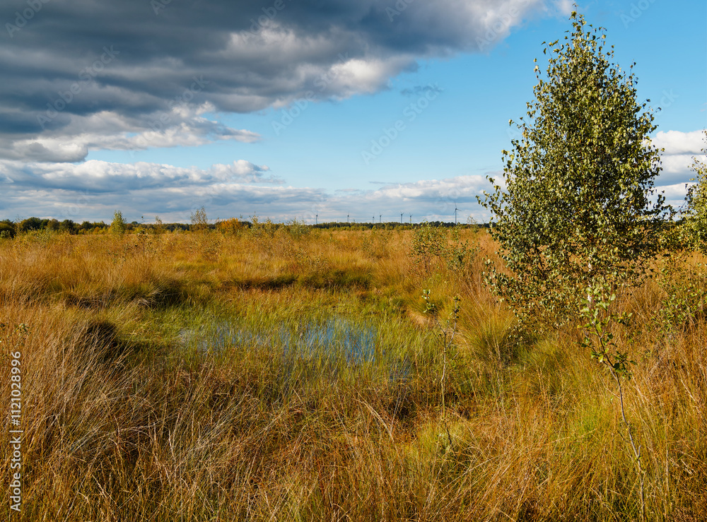 Landschaft im Oppenweher Moor im Naturpark Dümmer, Landkreis Diepholz, Niedersachsen, Deutschland Landschaft im Oppenweher Moor im Naturpark Dümmer, Landkreis Diepholz, Niedersachsen, Deutschland
