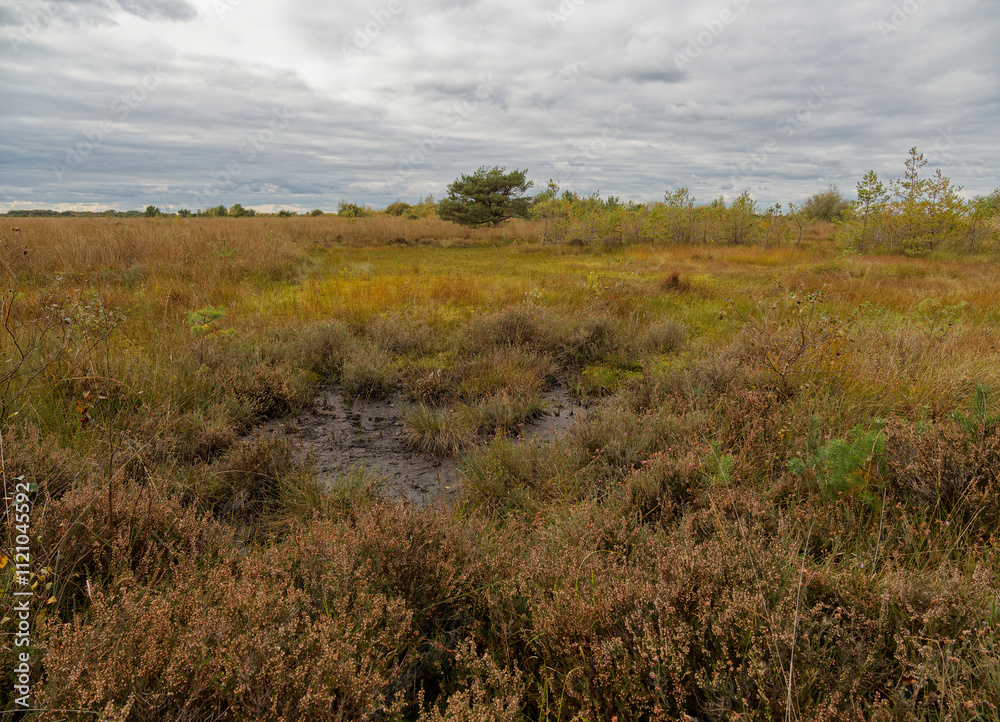 Landschaft im Neustädter Moor im Naturpark Dümmer, Landkreis Diepholz, Niedersachsen, Deutschland Landschaft im Neustädter Moor im Naturpark Dümmer, Landkreis Diepholz, Niedersachsen, Deutschland